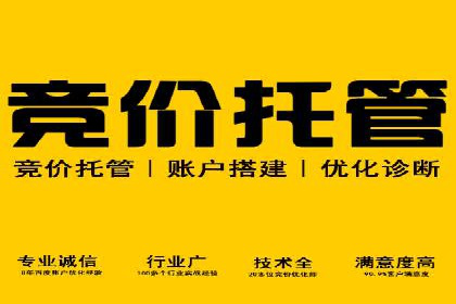 SEM托管服务助力企业突破：成功案例解读